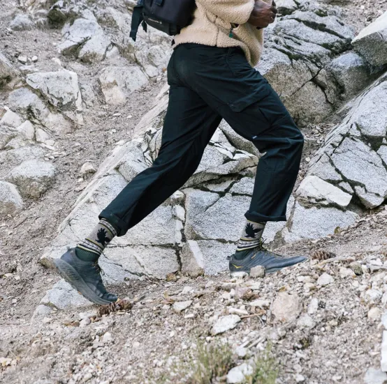 Darn Tough Men's VanGrizzle Boot Mid-Weight Hiking Socks 1980